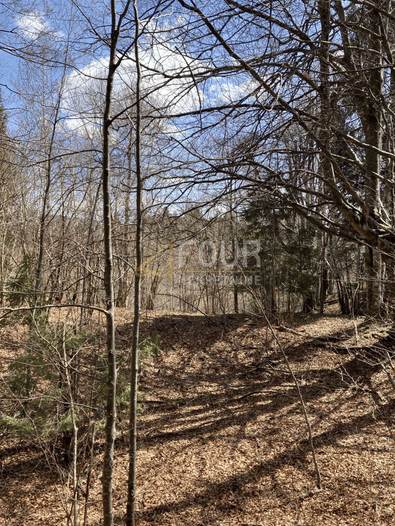 Zemljišče Crni Lug, Delnice, 2.005m2