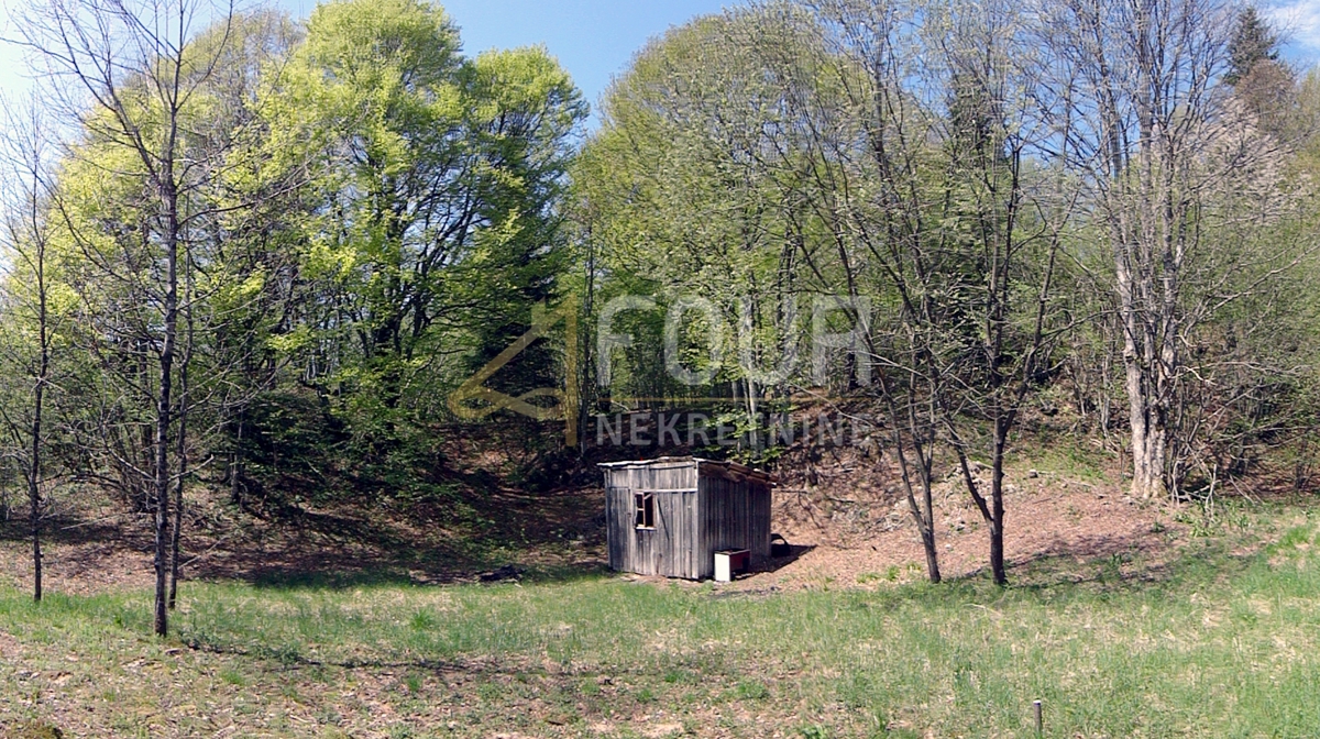 Zemljišče Crni Lug, Delnice, 2.005m2