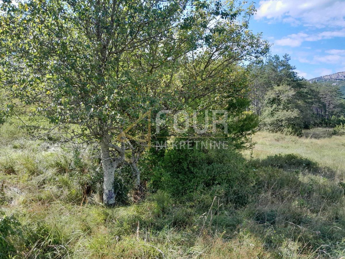 Zemljišče Buzet, 1.601m2