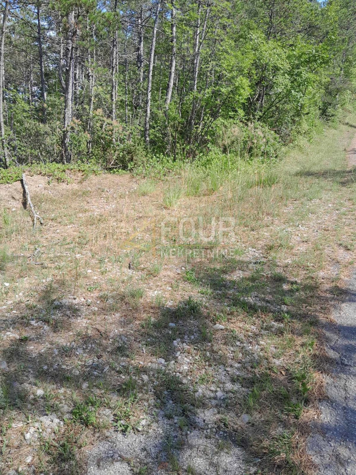 Zemljišče Buzet, 1.601m2