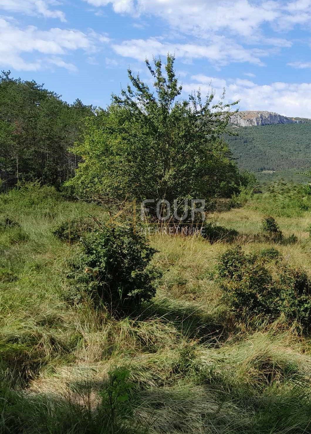 Zemljišče Buzet, 1.601m2