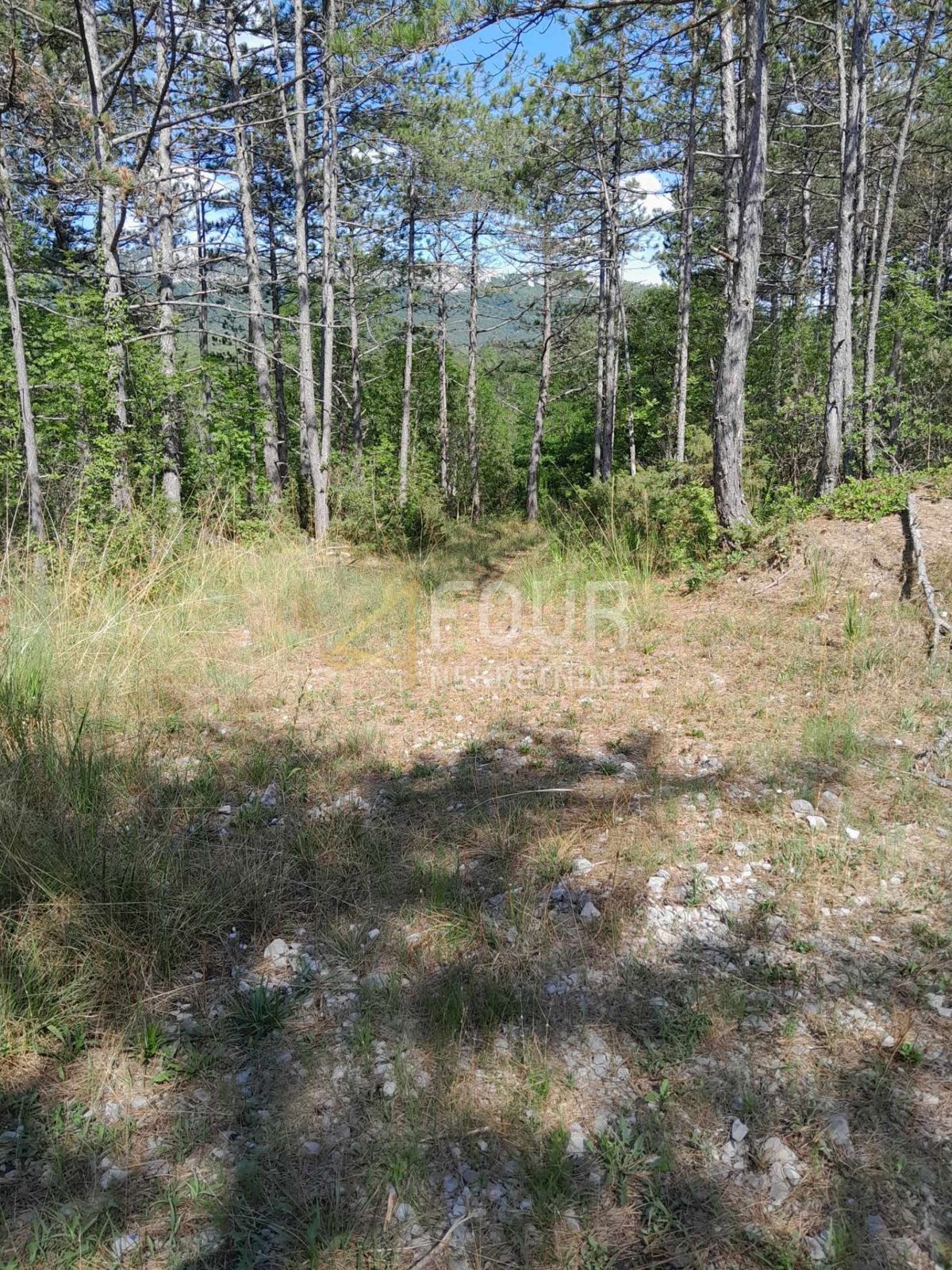 Zemljišče Buzet, 1.601m2