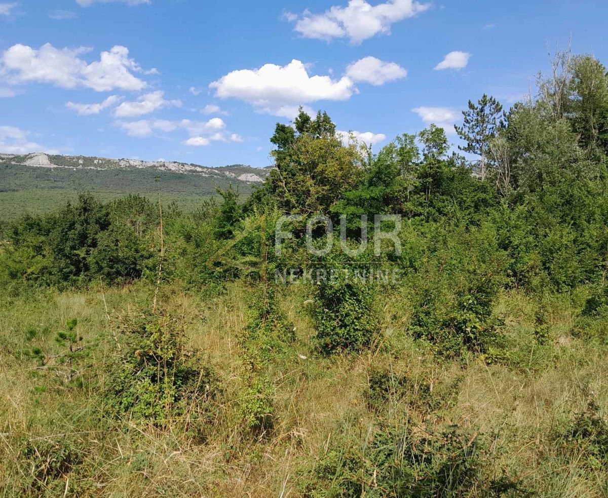 Zemljišče Buzet, 1.601m2