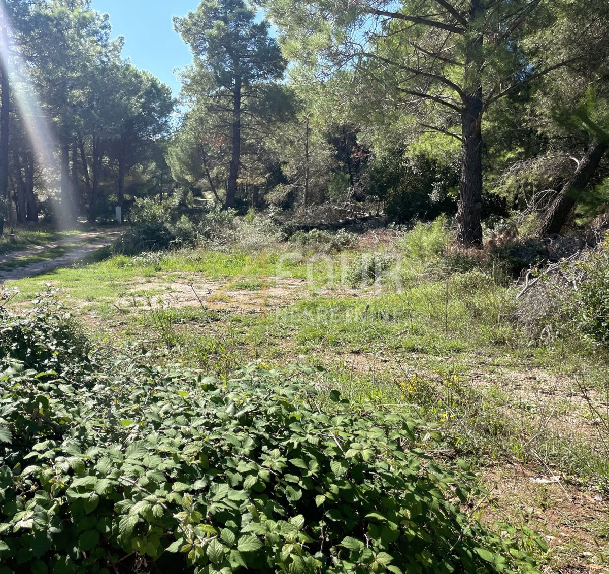Zemljišče Vir, 1.200m2