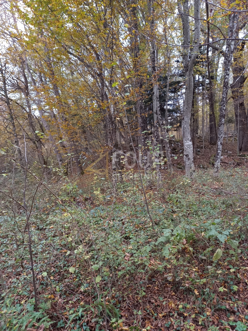 Zemljišče Bosiljevo, 100.581,31m2