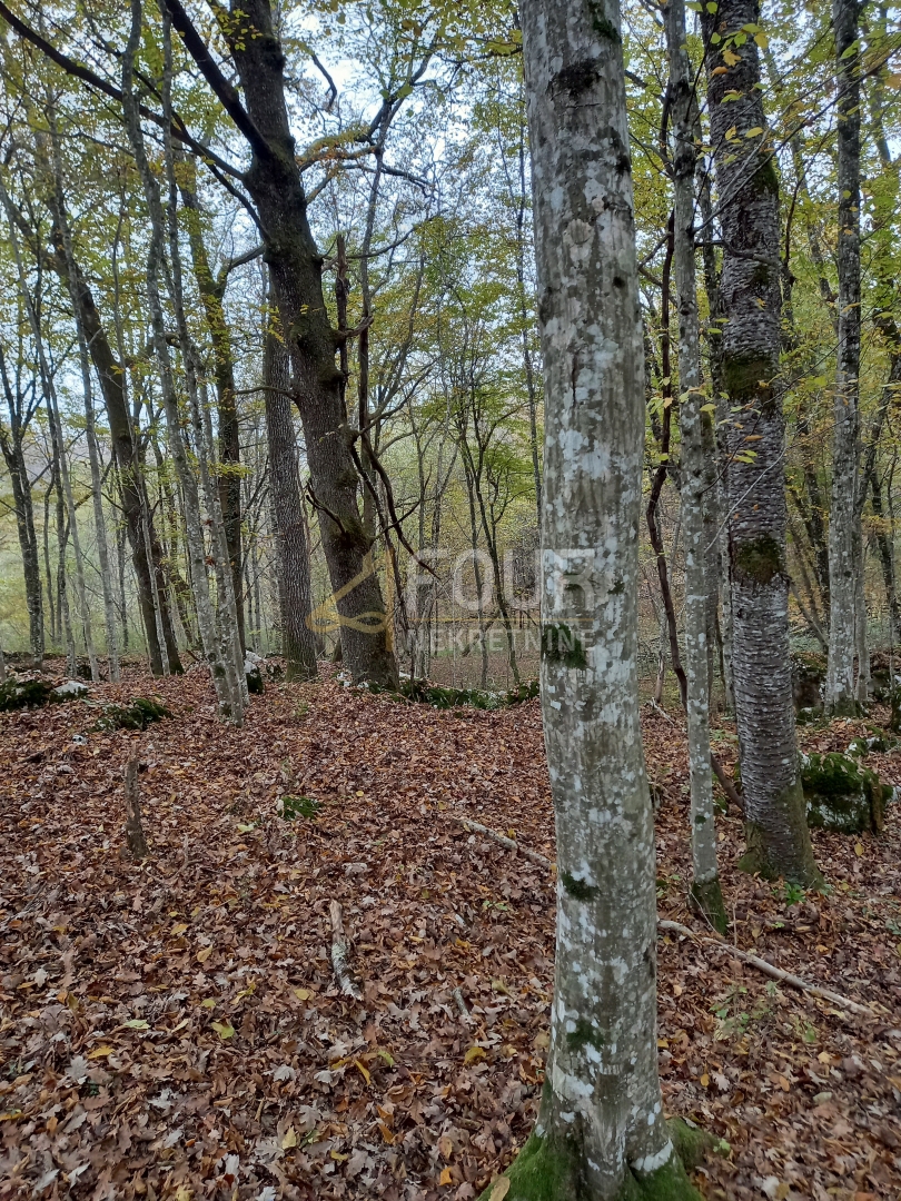 Zemljišče Bosiljevo, 100.581,31m2