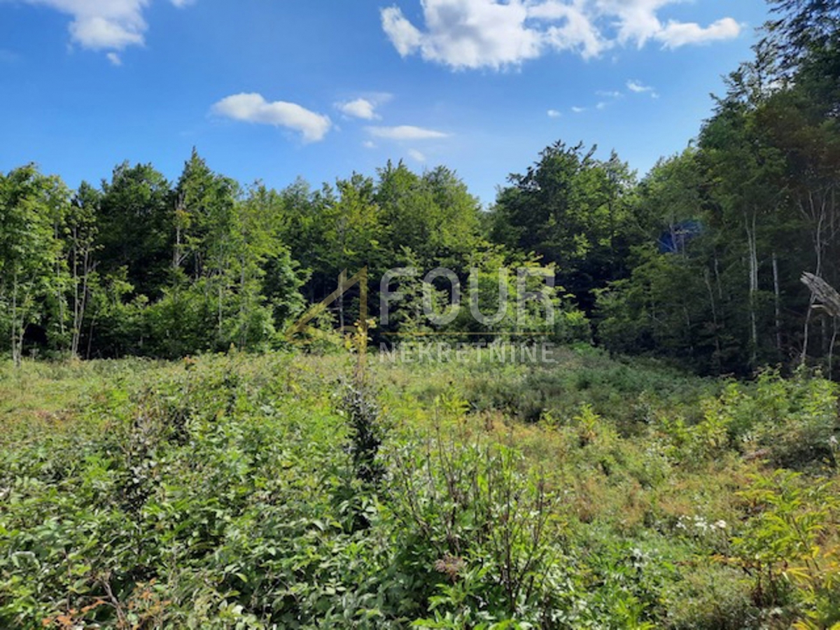 Zemljišče Lič, Fužine, 9.794m2