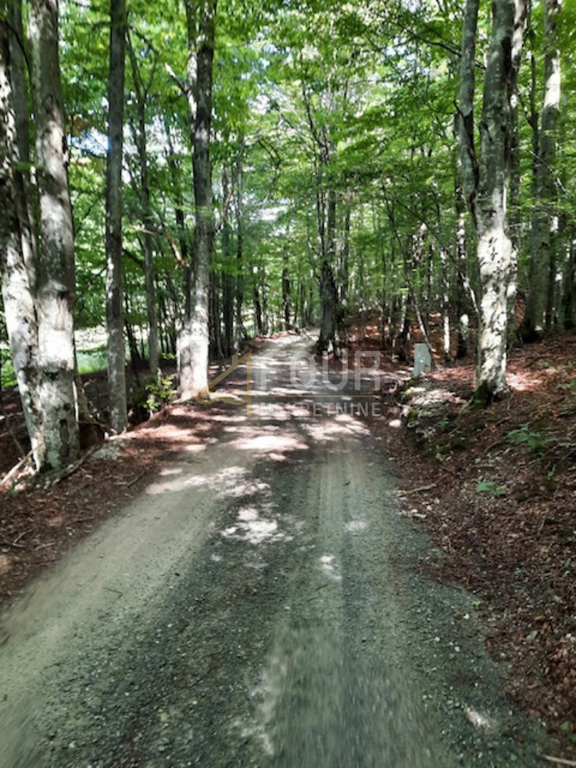 Zemljišče Lič, Fužine, 9.794m2