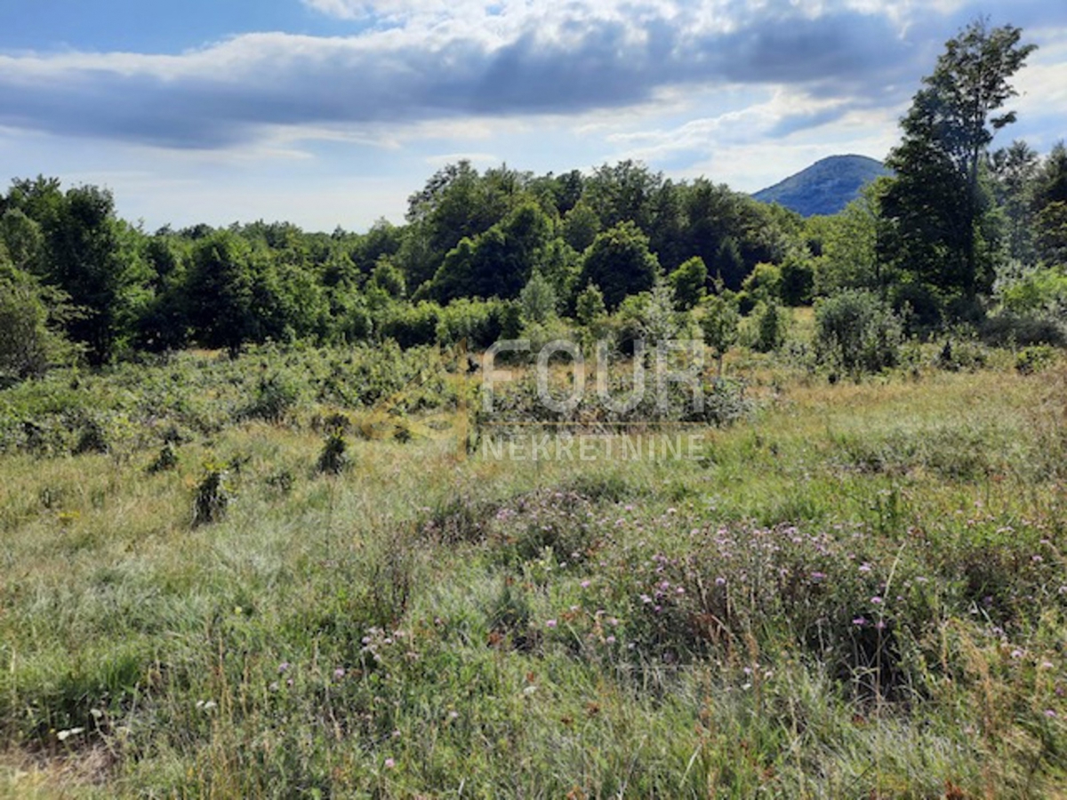 Zemljišče Lič, Fužine, 9.794m2