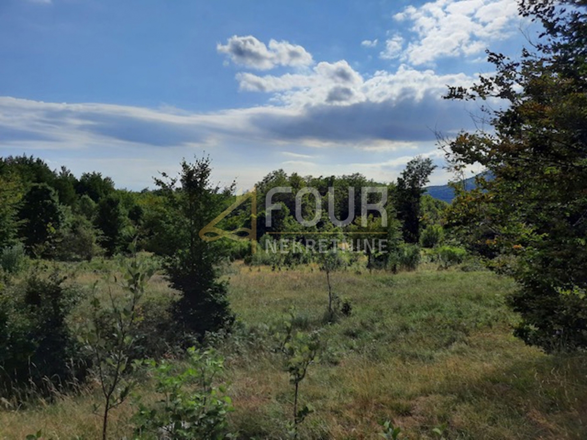 Zemljišče Lič, Fužine, 9.794m2