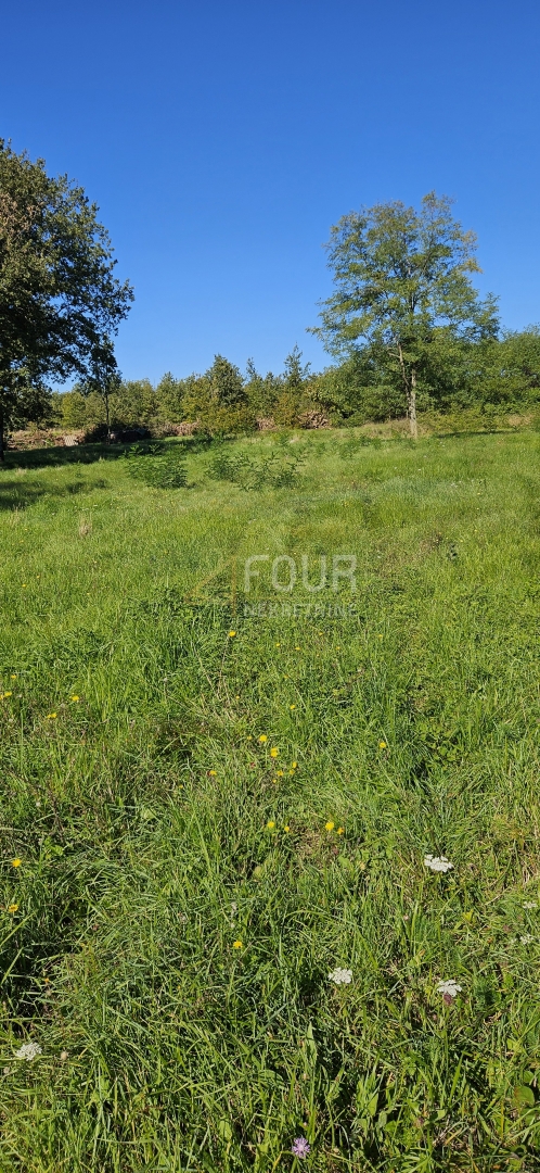 Zemljišče Višnjan, 1.350m2