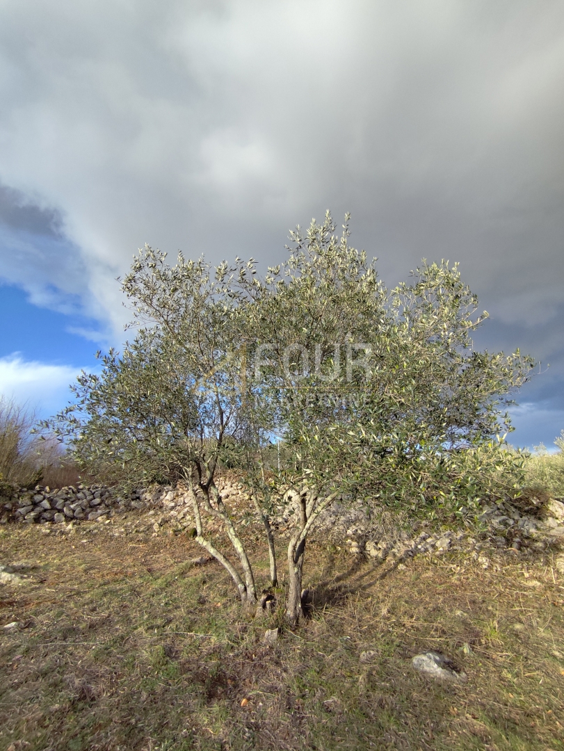 Zemljišče Krk, 545m2