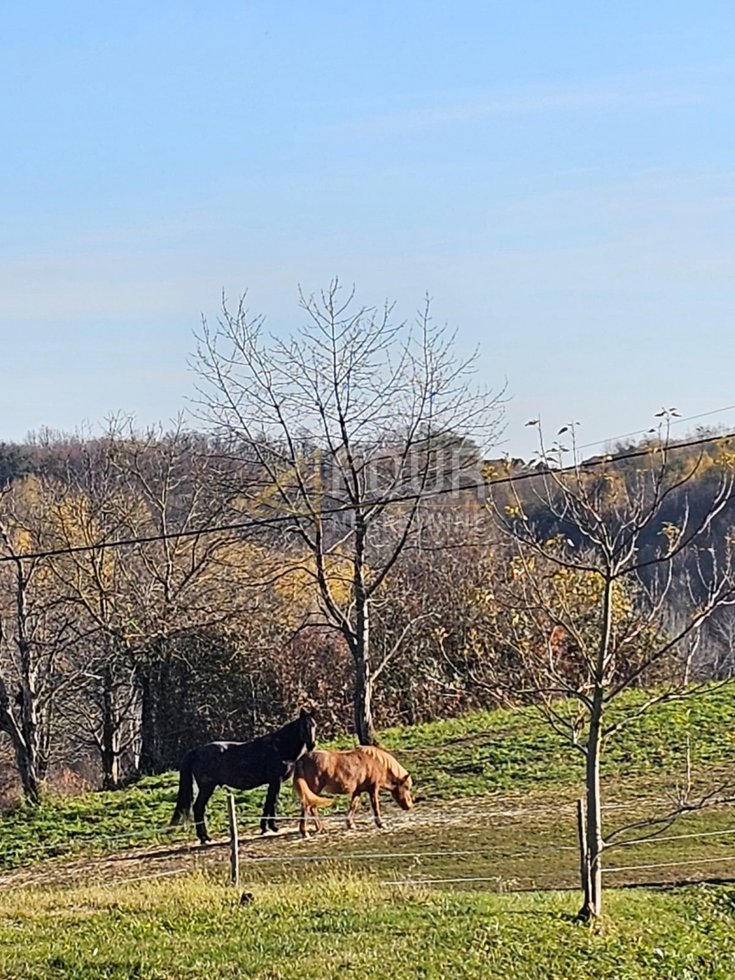 Zemljišče Ozalj, 1.162m2