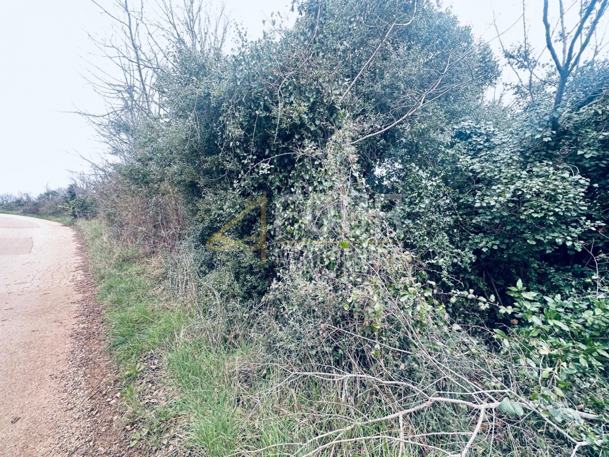 Istra, Ližnjan, kmetijsko zemljišče, 1.899m2