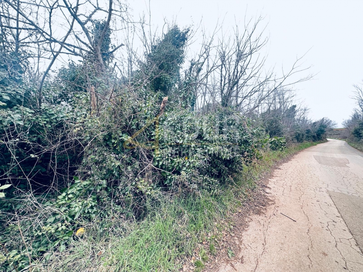 Istra, Ližnjan, kmetijsko zemljišče, 1.899m2