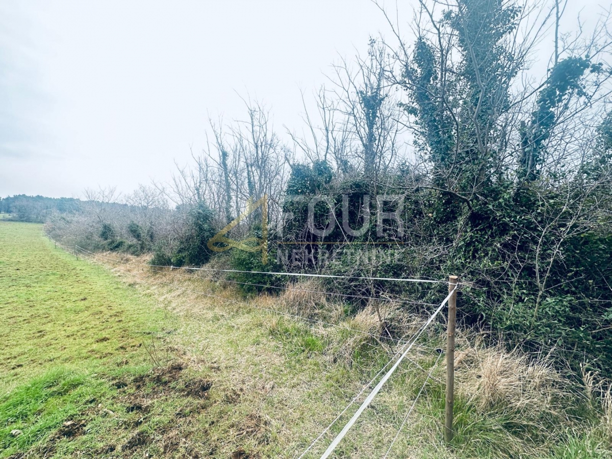 Istra, Ližnjan, kmetijsko zemljišče, 1.899m2