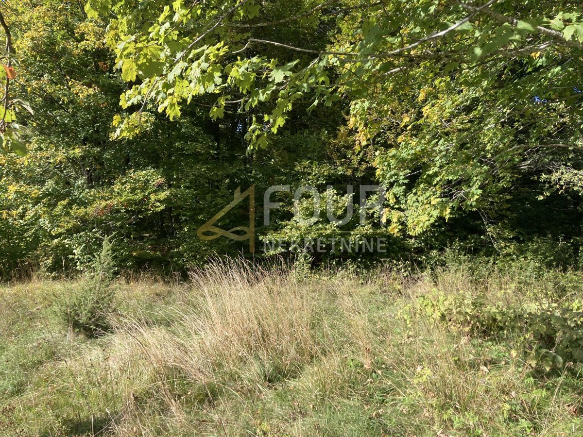 Zemljišče Stari Laz, Ravna Gora, 3.972m2