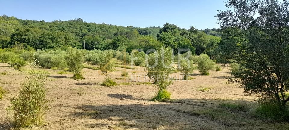 Hiša Labin, 120m2
