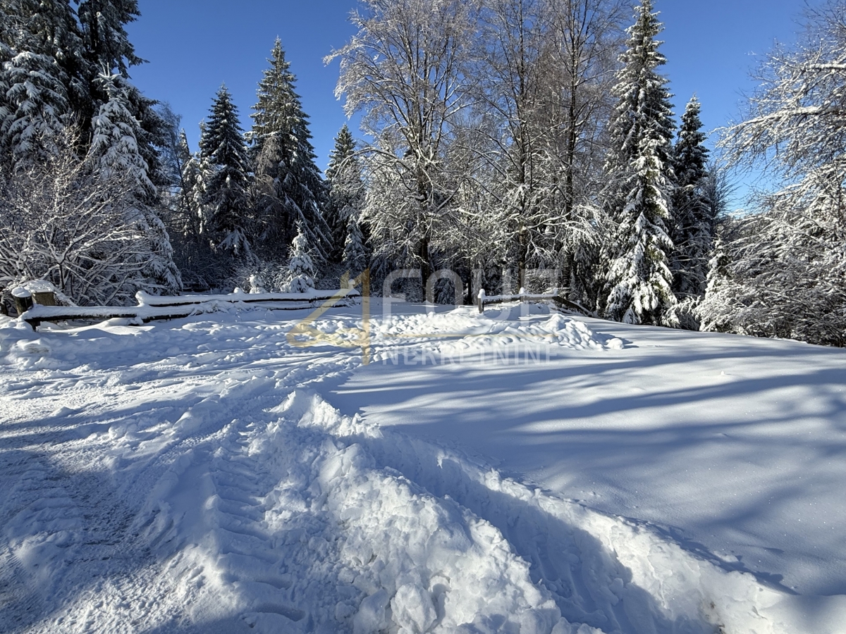 Zemljišče Ravna Gora, 3.115m2