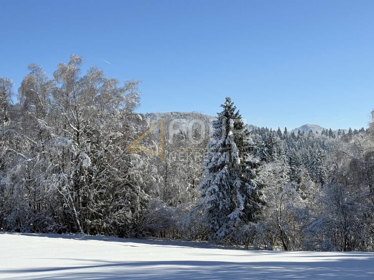 Zemljišče Ravna Gora, 3.115m2