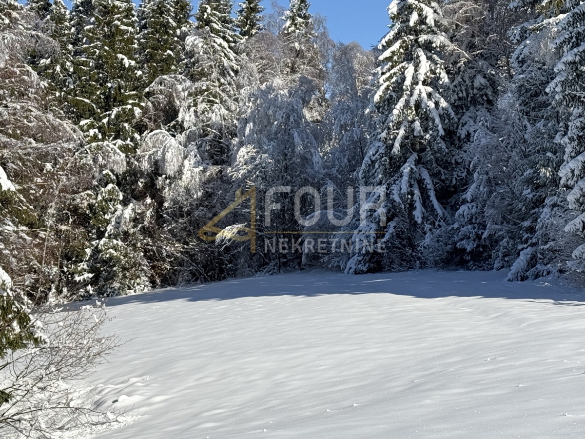 Zemljišče Ravna Gora, 3.115m2