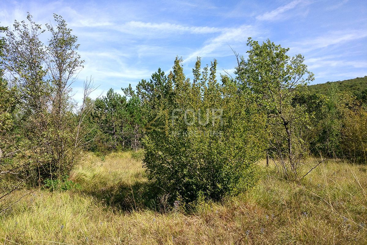 Zemljišče Kršan, 10.091m2