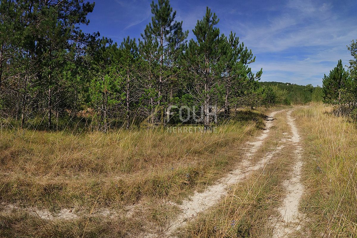 Zemljišče Kršan, 10.091m2