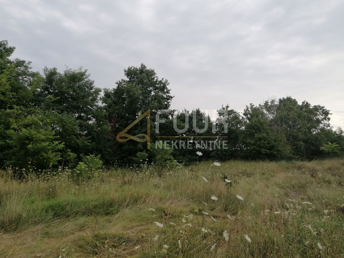 Zemljišče Kringa, Tinjan, 3.541m2
