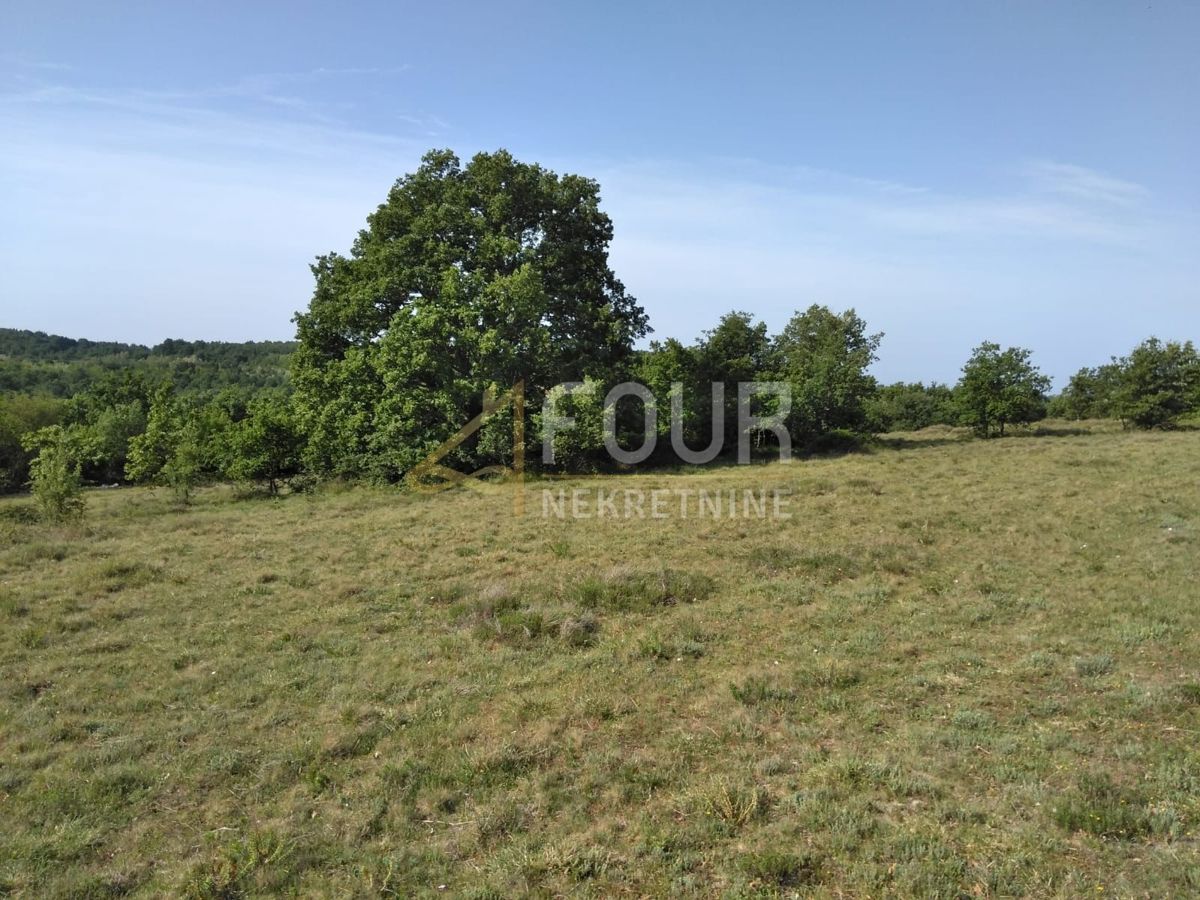 Zemljišče Višnjan, 38.900m2
