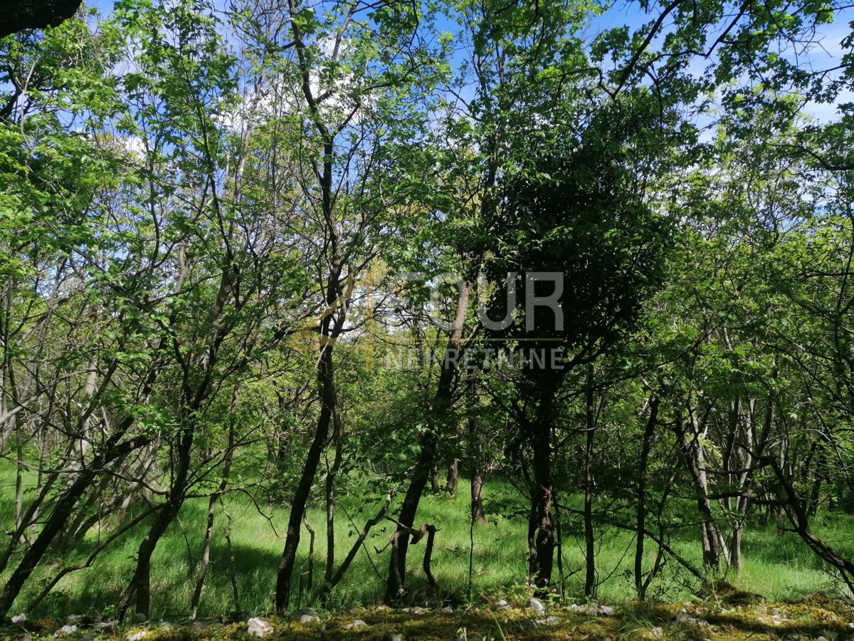 Zemljišče Škrljevo, Bakar, 9.925m2