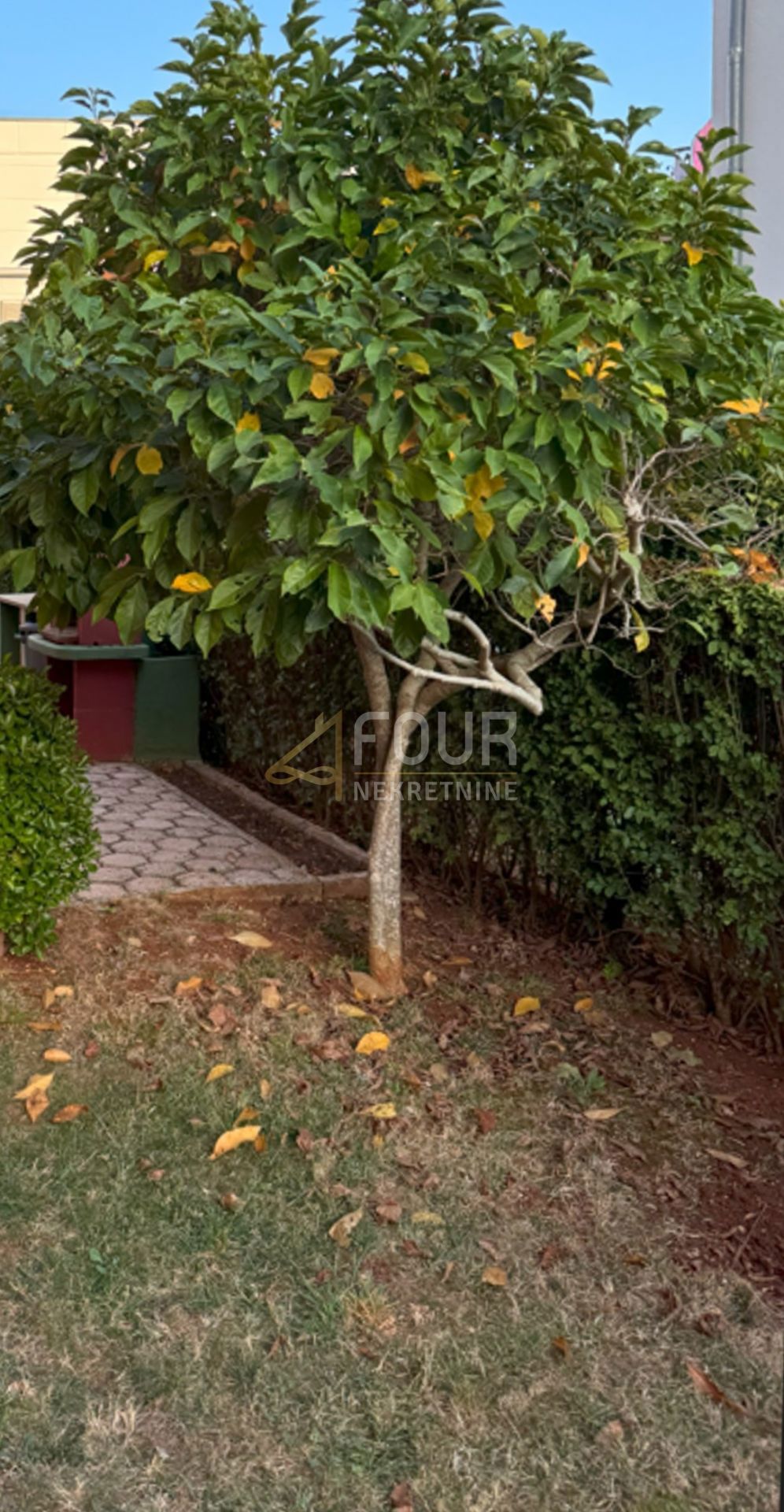 Stanovanje Novigrad, 44,01m2