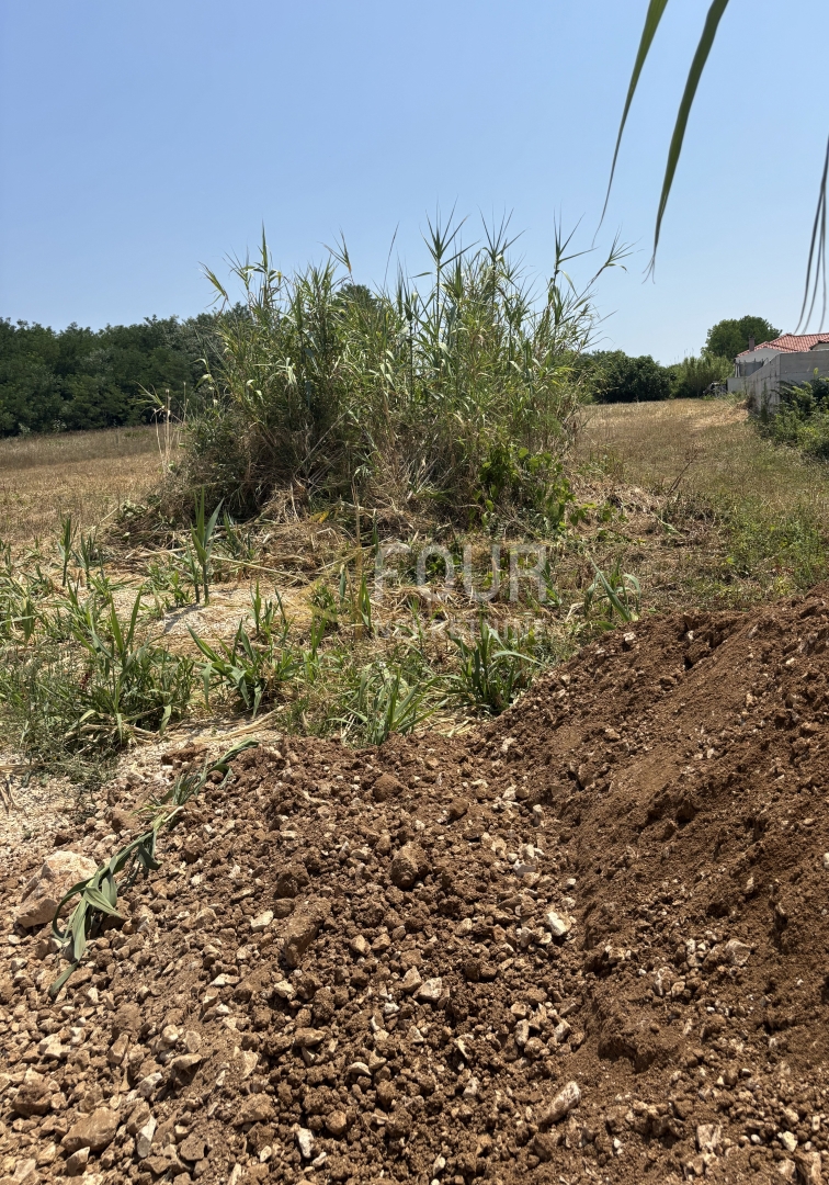 Zemljišče Privlaka, 2.513m2