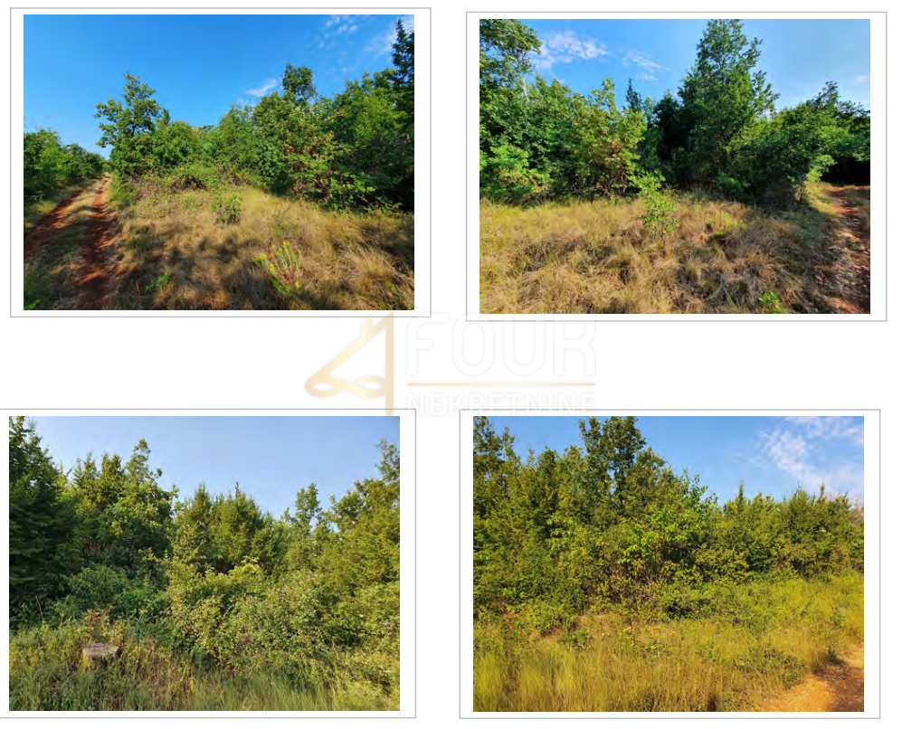 Zemljišče Labinci, Kaštelir-Labinci, 13.182m2