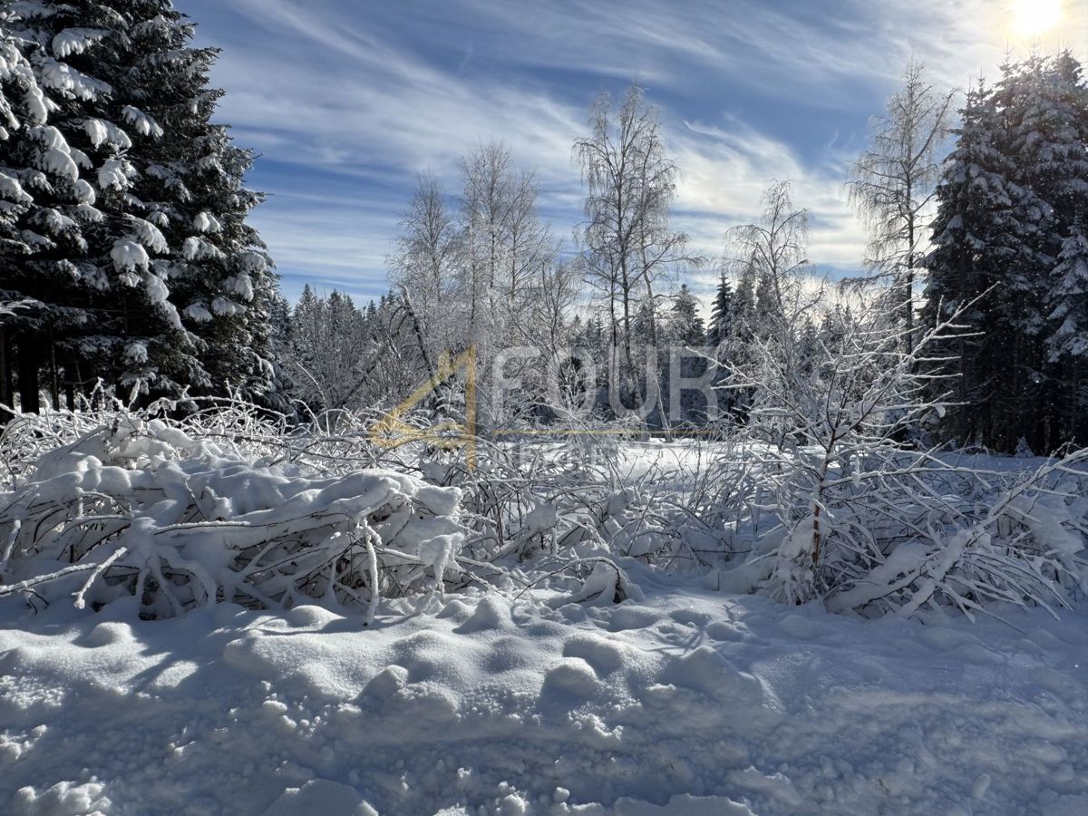 Zemljišče Ravna Gora, 12.519m2