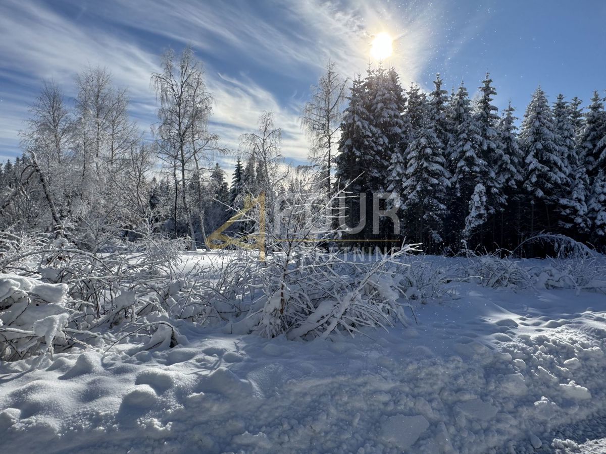 Zemljišče Ravna Gora, 12.519m2