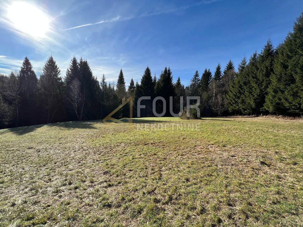 Zemljišče Ravna Gora, 12.519m2