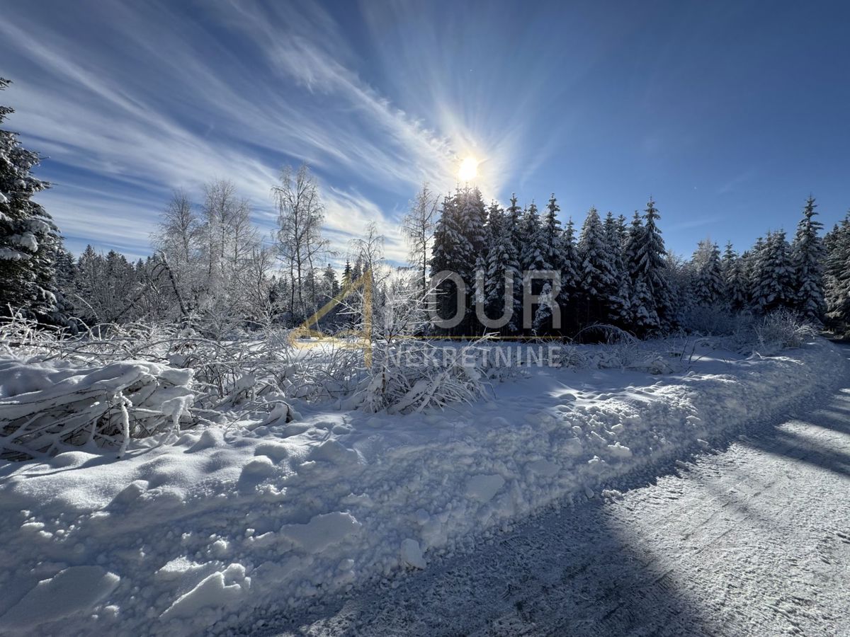 Zemljišče Ravna Gora, 12.519m2