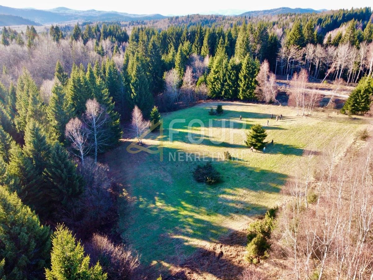 Zemljišče Ravna Gora, 12.519m2