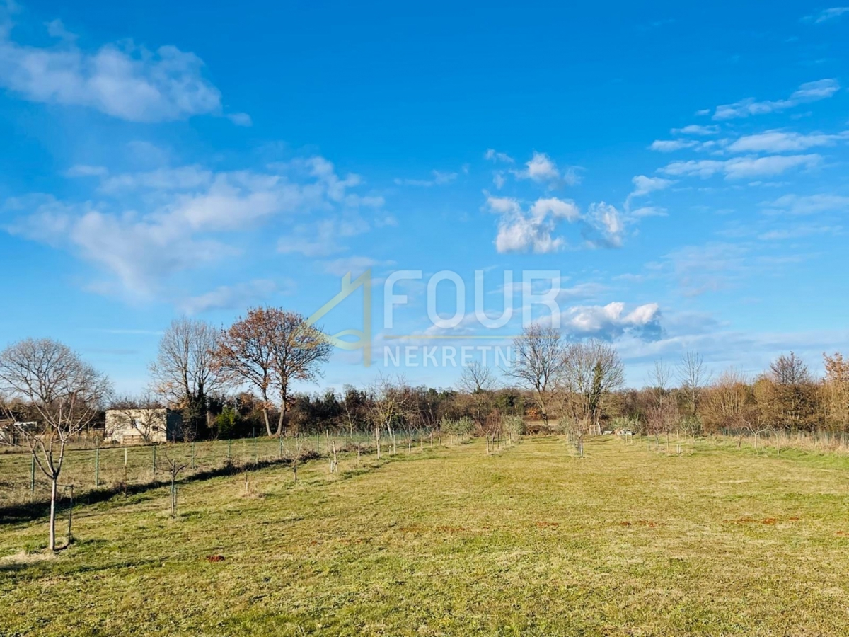 Istra, Marčana - okolica, samostojna hiša s velikim dvoriščem