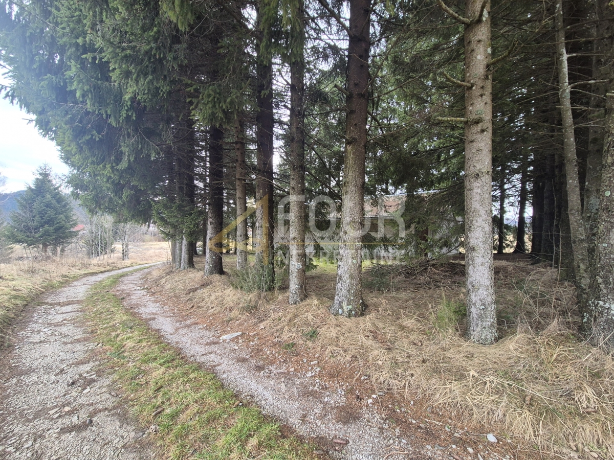 Zemljišče Ravna Gora, 2.957m2