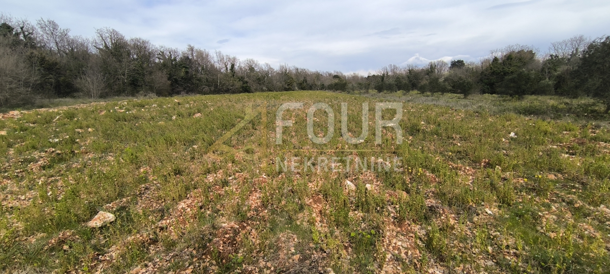 Zemljišče Marčana, 7.517m2