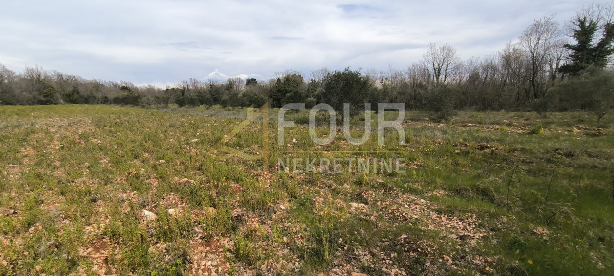 Zemljišče Marčana, 7.517m2