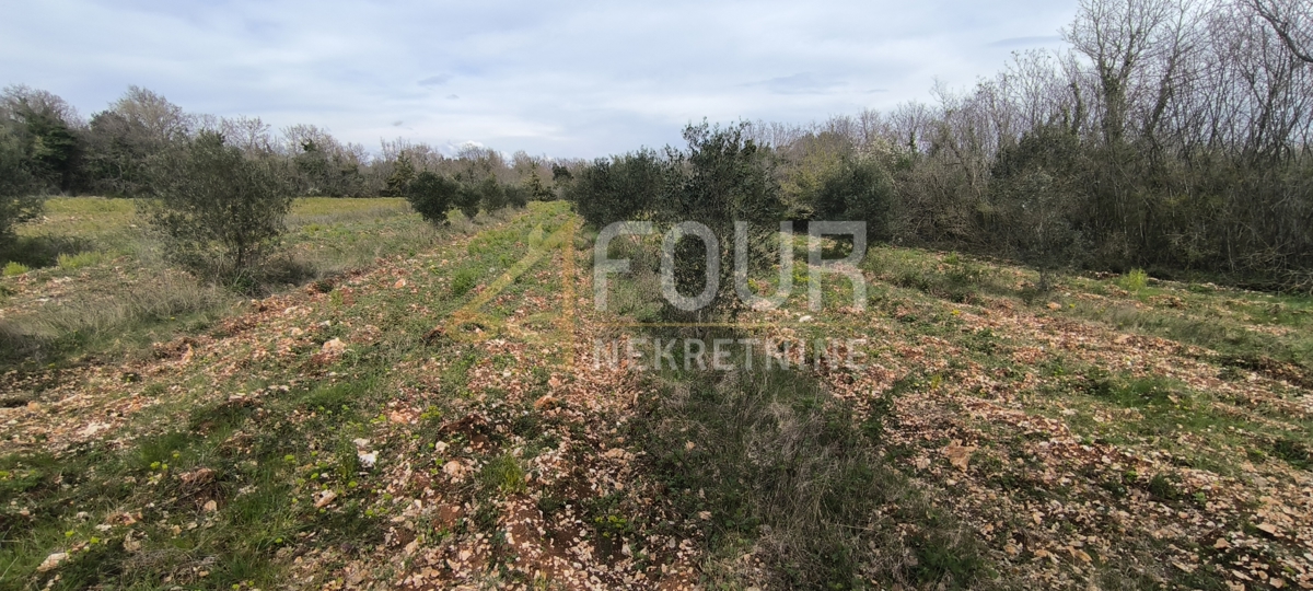 Zemljišče Marčana, 7.517m2