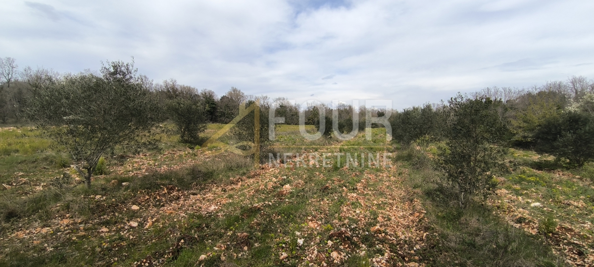 Zemljišče Marčana, 7.517m2