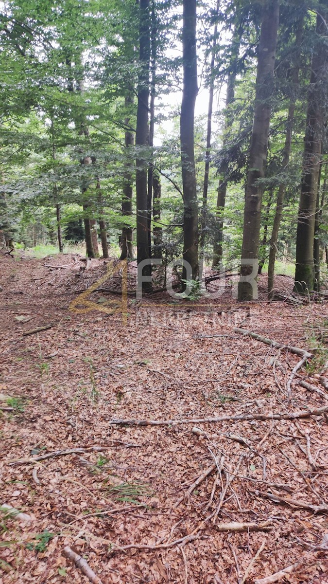 Zemljišče Lokve, 406m2
