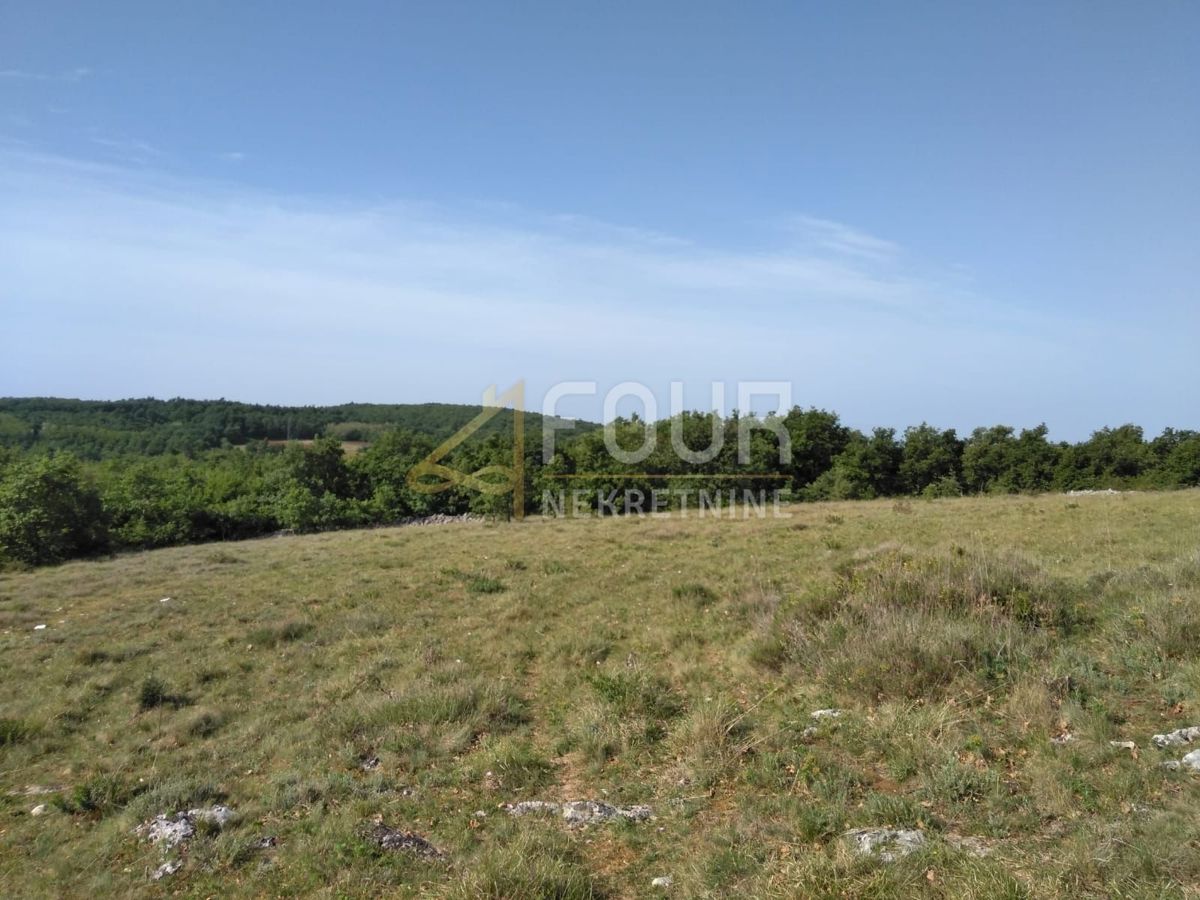 Zemljišče Višnjan, 62.710m2
