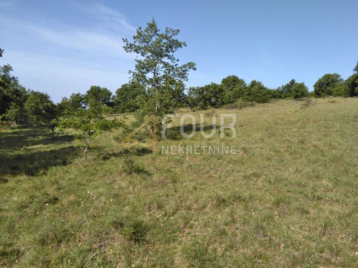 Zemljišče Višnjan, 62.710m2
