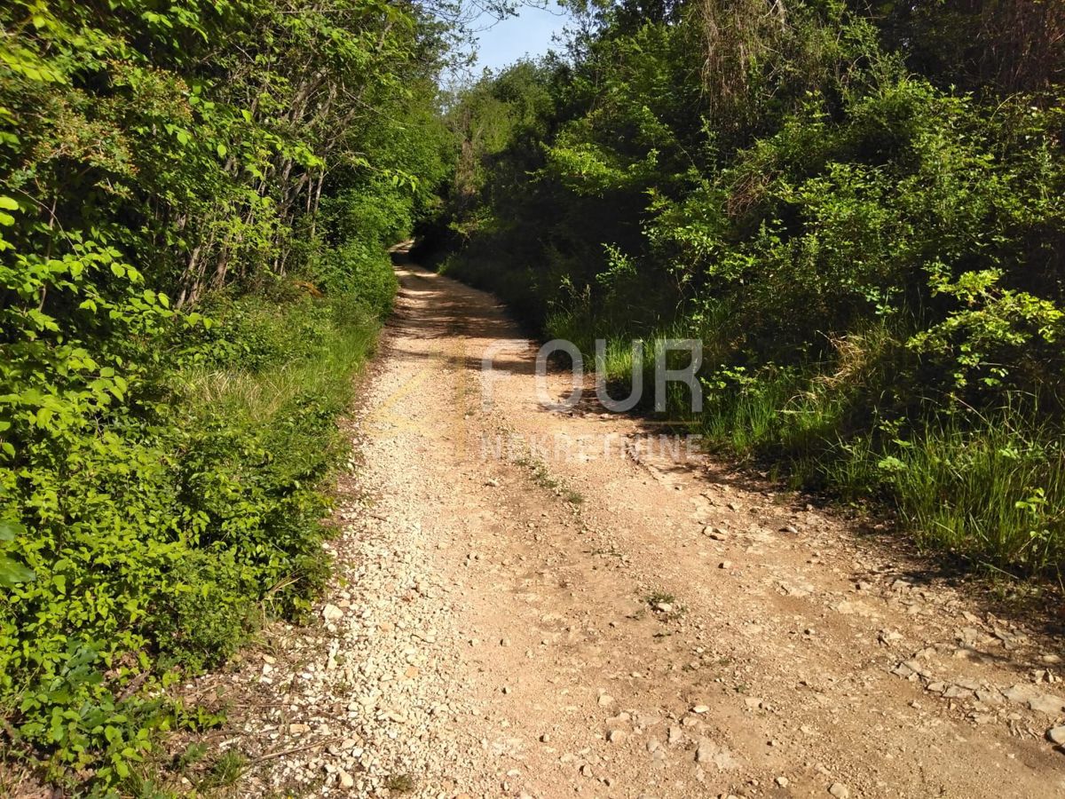 Zemljišče Višnjan, 62.710m2