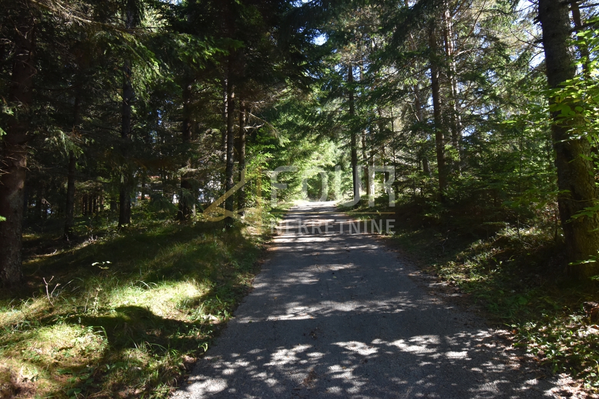 Hiša Tršće, Čabar, 250m2