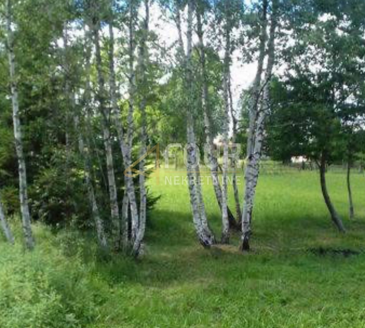 Zemljišče Kupjak, Ravna Gora, 6.111m2